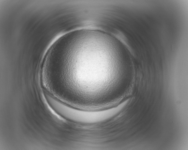 X0000082721484200702021432