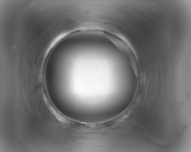 X0000082721485200702021432