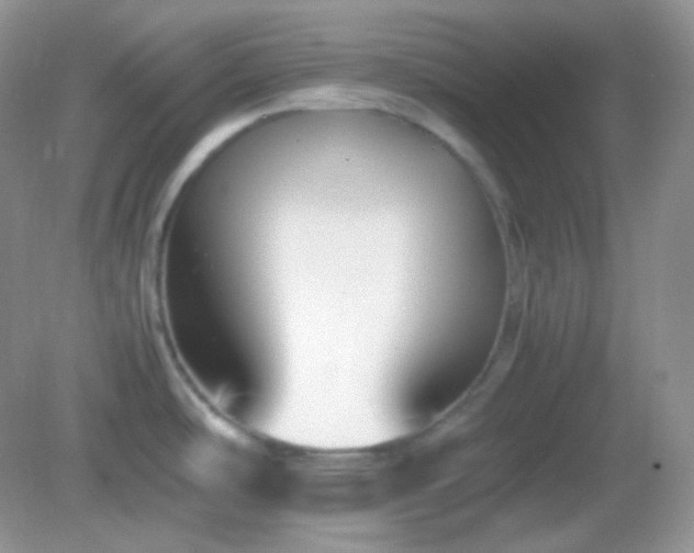X0000082721486200702021432
