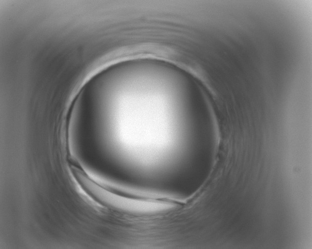 X0000082721516200702021432