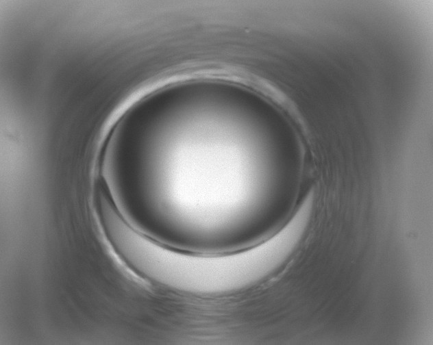 X0000082721520200702021432