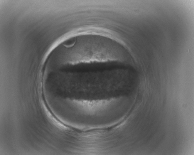 X0000082721522200702021432