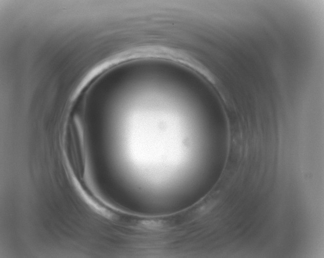 X0000082721523200702021432
