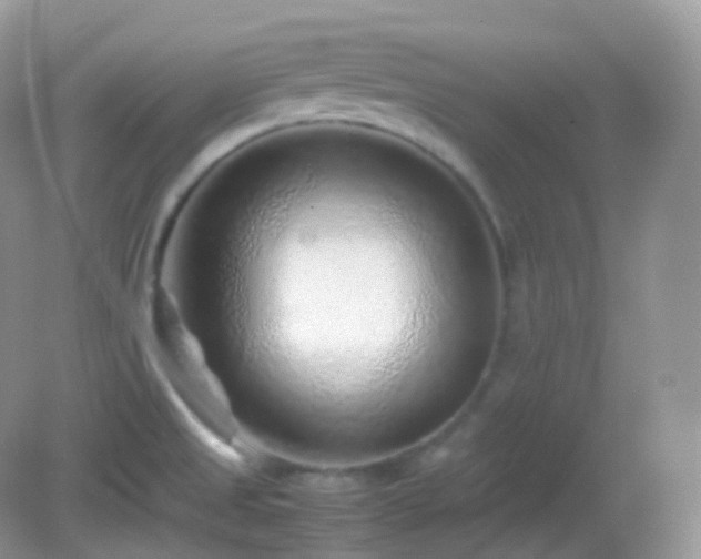X0000082721525200702021432