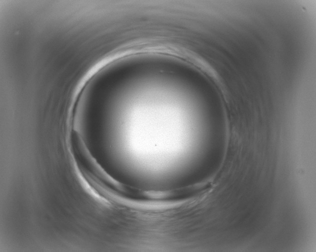 X0000082721528200702021432