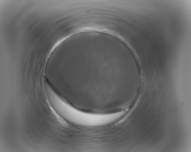 X0000082721529200702021432