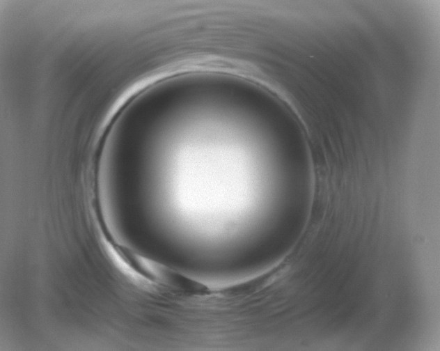 X0000082721531200702021432