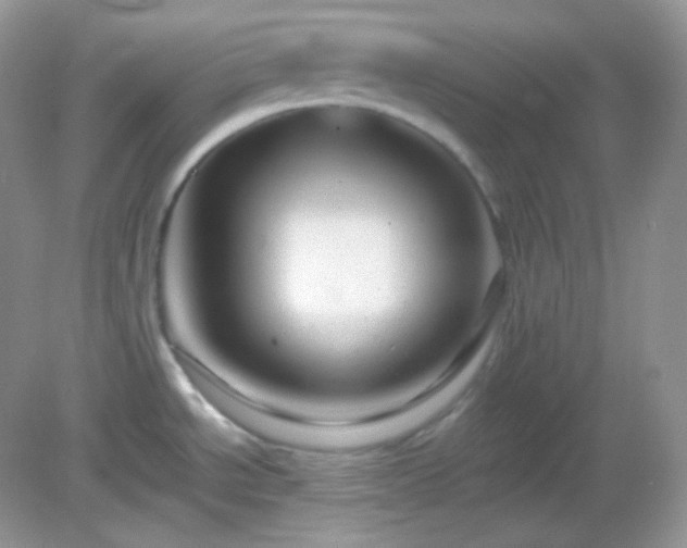 X0000082721534200702021432
