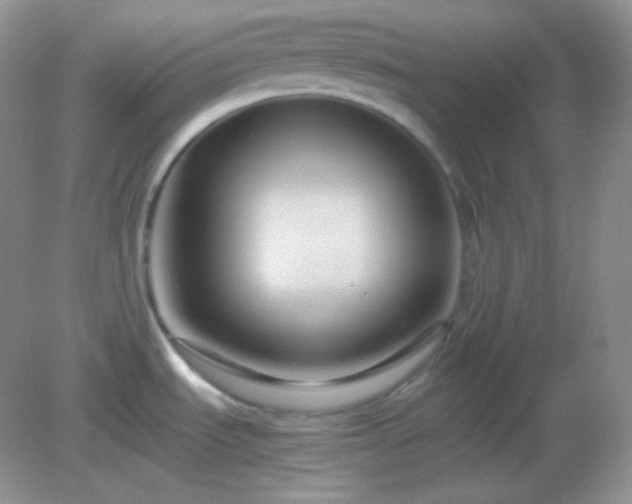 X0000082721535200702021432