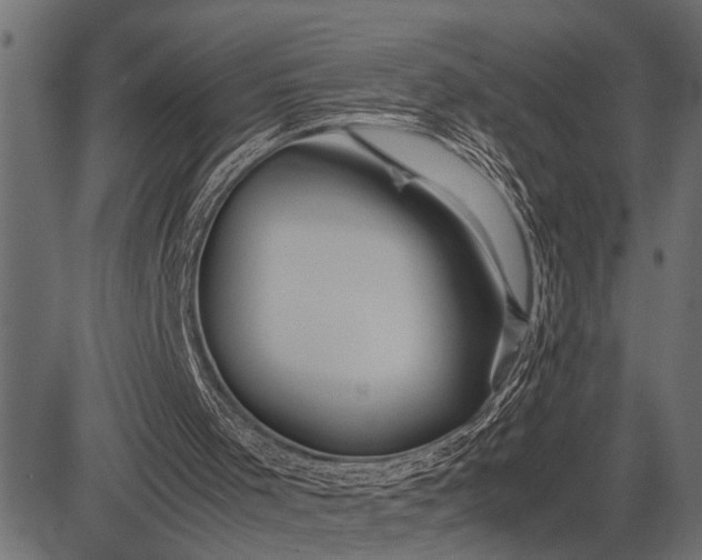 X0000082720001200702091824