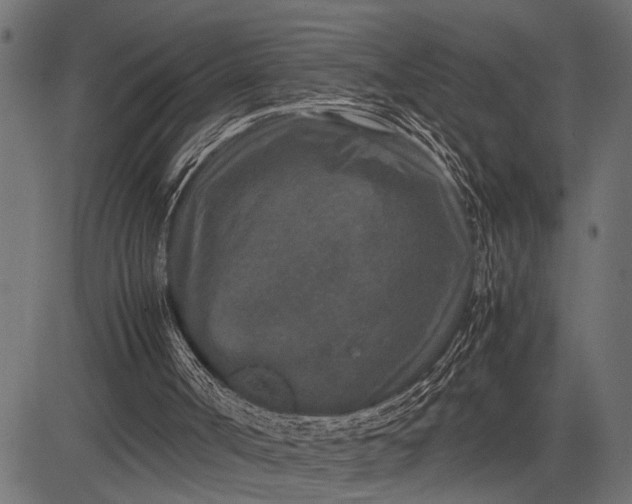 X0000082720002200702091824