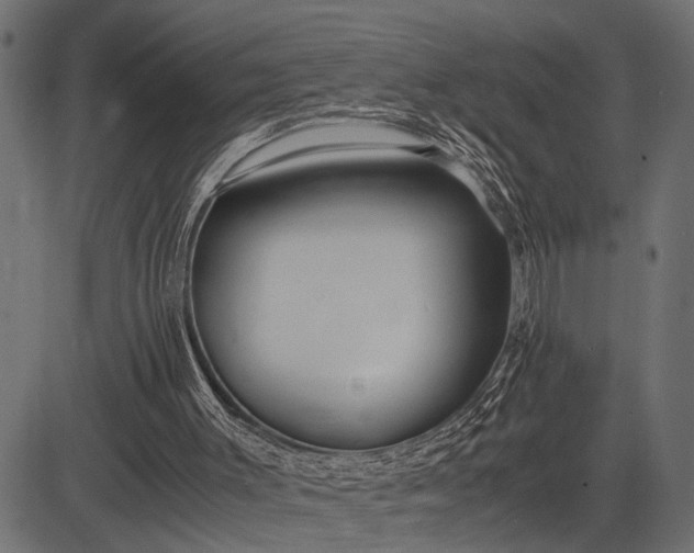 X0000082720003200702091824