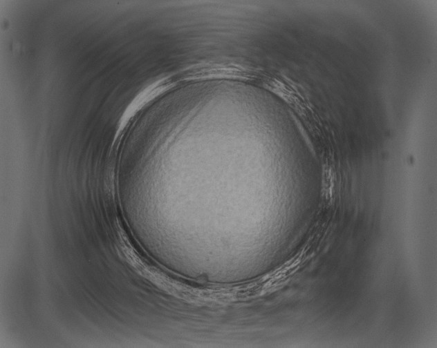 X0000082720004200702091824