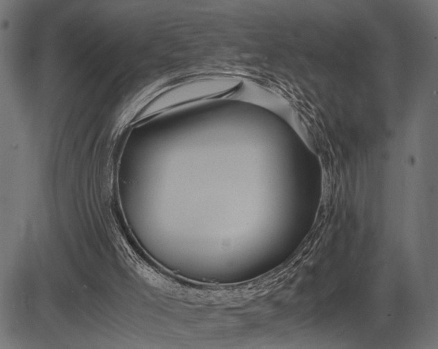 X0000082720005200702091824