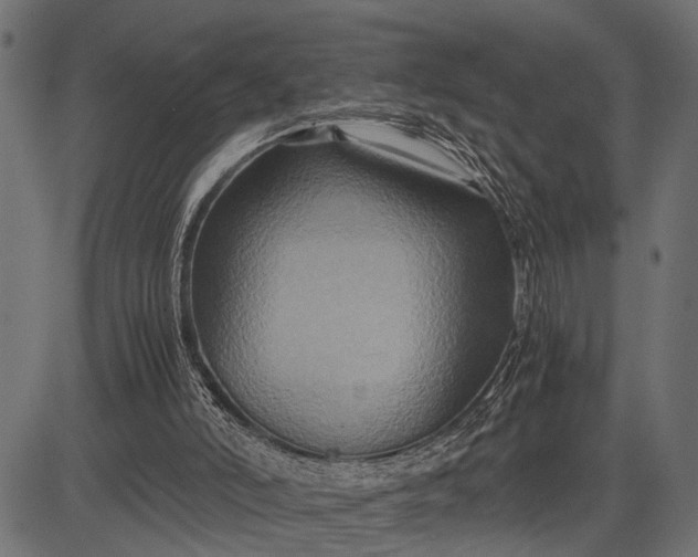 X0000082720006200702091824