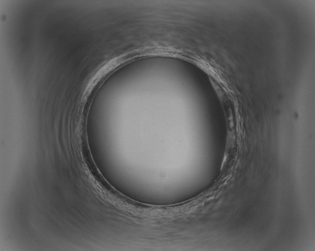 X0000082720007200702091824