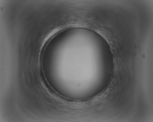 X0000082720008200702091824