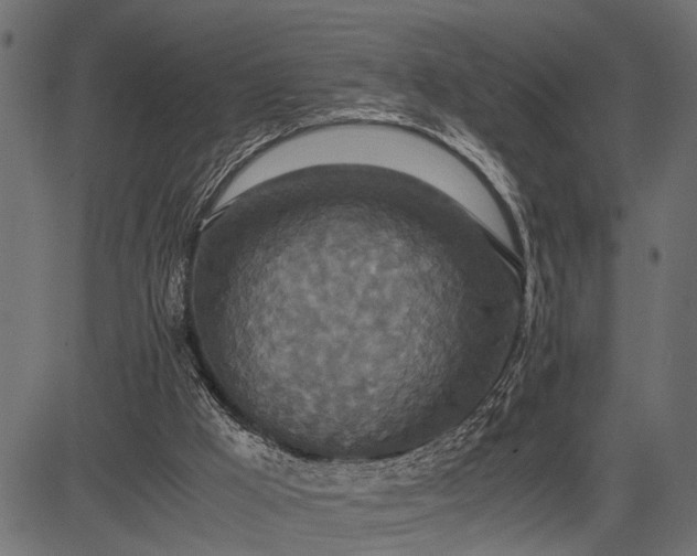 X0000082720009200702091824