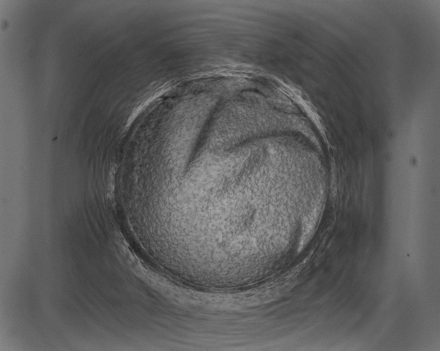 X0000082720010200702091824