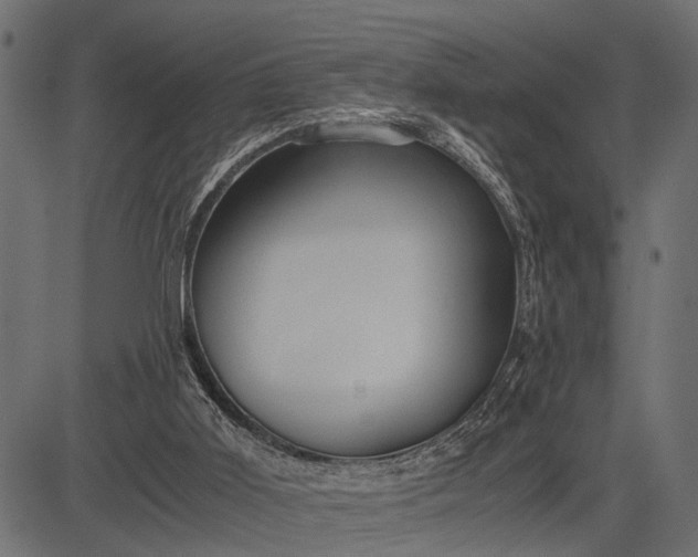 X0000082720011200702091824