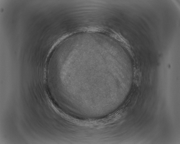 X0000082720012200702091824