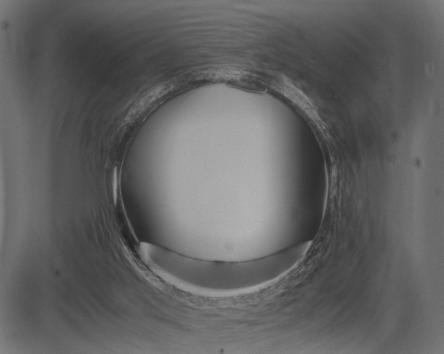 X0000082720013200702091824