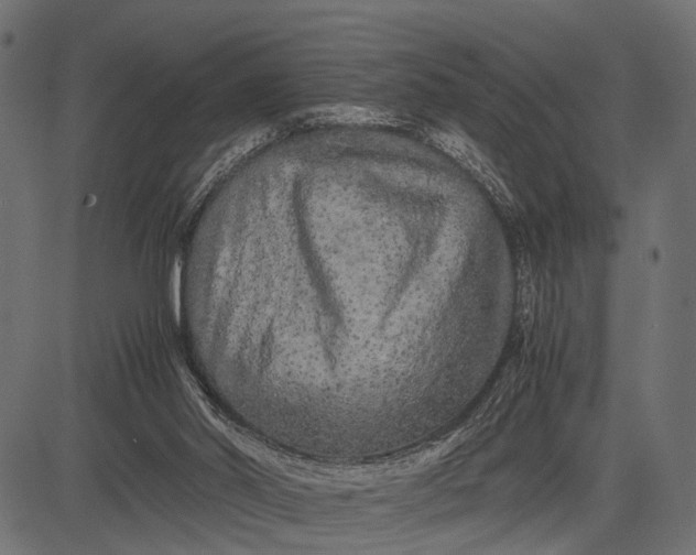 X0000082720014200702091824