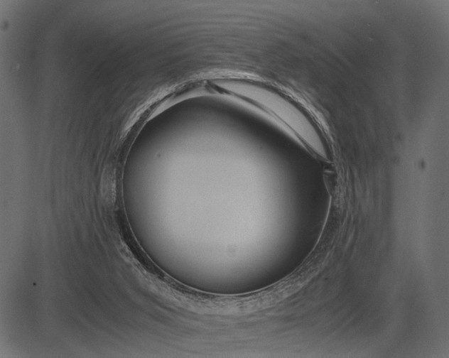 X0000082720015200702091824