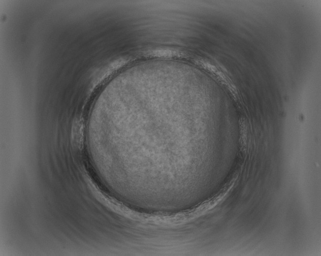 X0000082720016200702091824