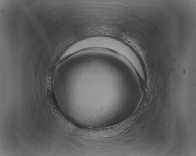 X0000082720017200702091824