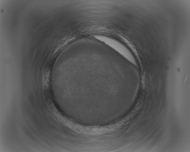 X0000082720018200702091824