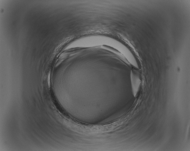 X0000082720019200702091824