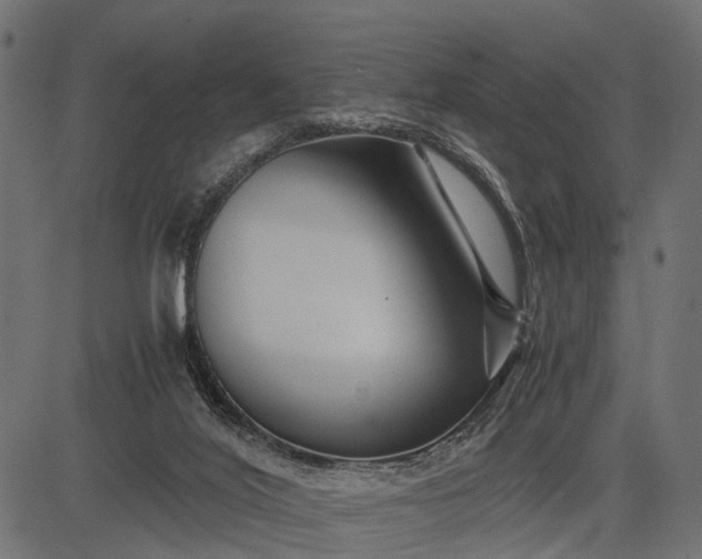 X0000082720020200702091824