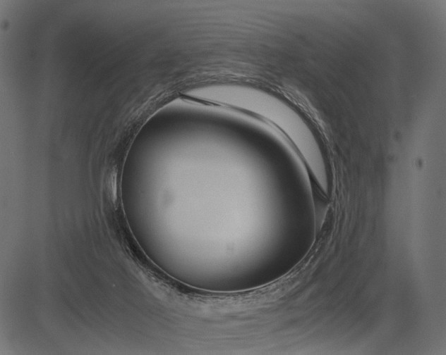 X0000082720021200702091824