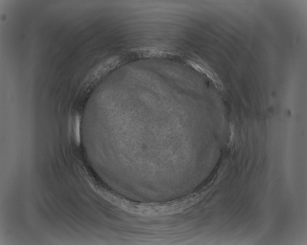 X0000082720022200702091824