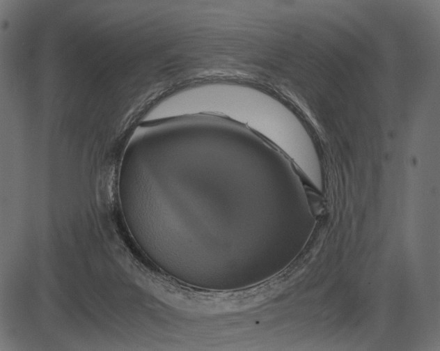 X0000082720023200702091824