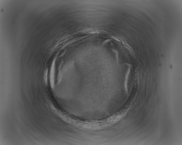 X0000082720024200702091824