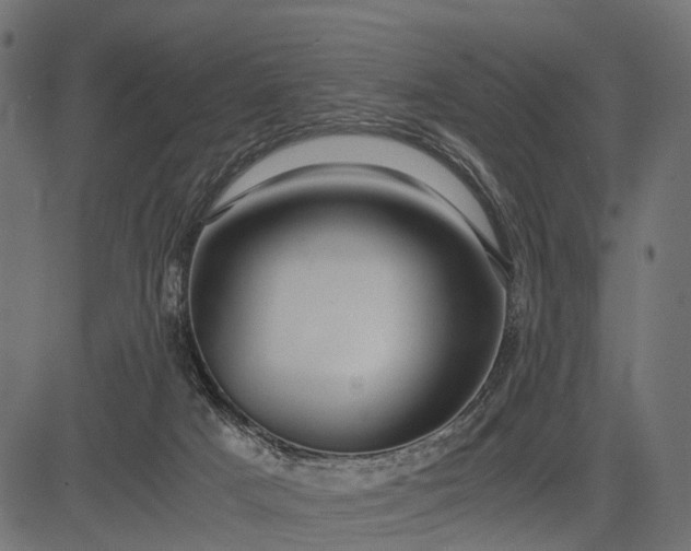 X0000082720025200702091824