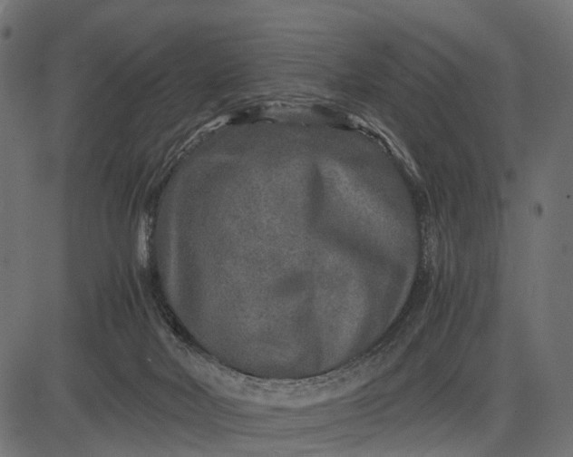 X0000082720026200702091824