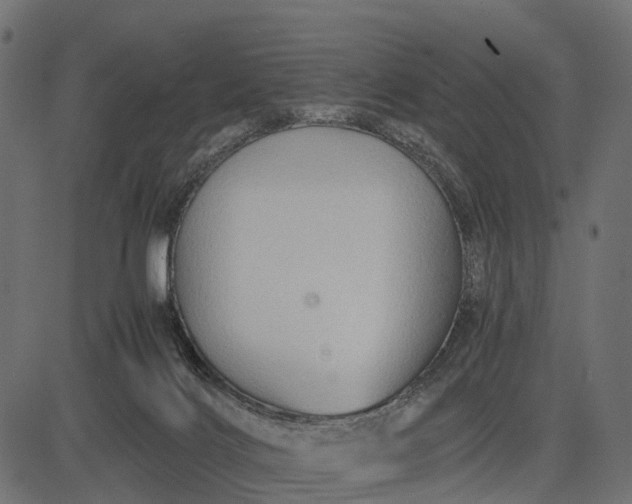 X0000082720028200702091824