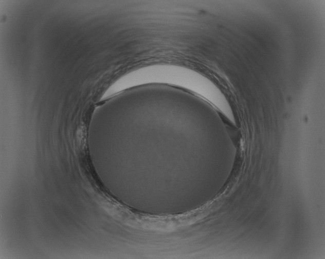 X0000082720029200702091824