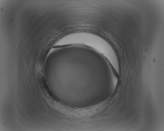 X0000082720031200702091824