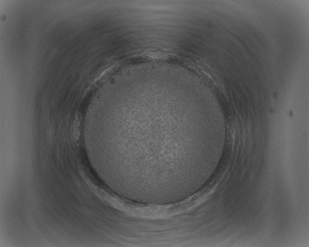 X0000082720032200702091824