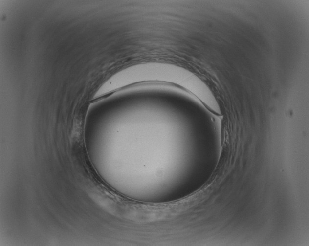 X0000082720033200702091824