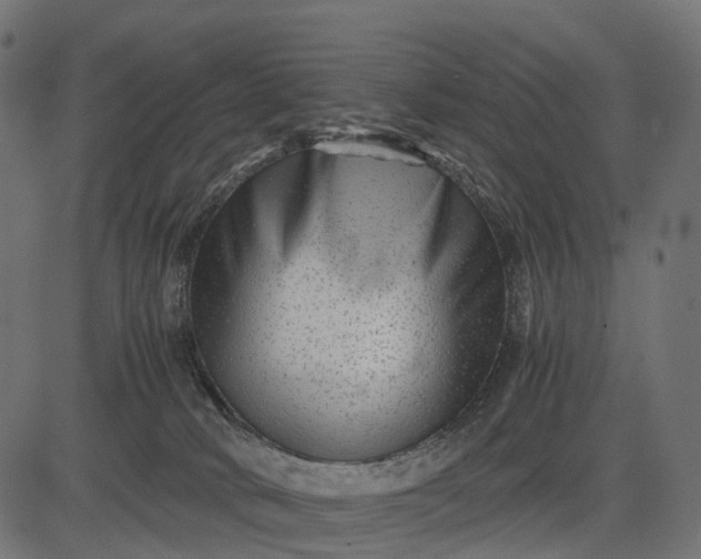 X0000082720034200702091824