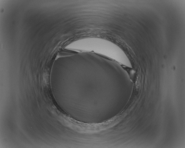 X0000082720035200702091824