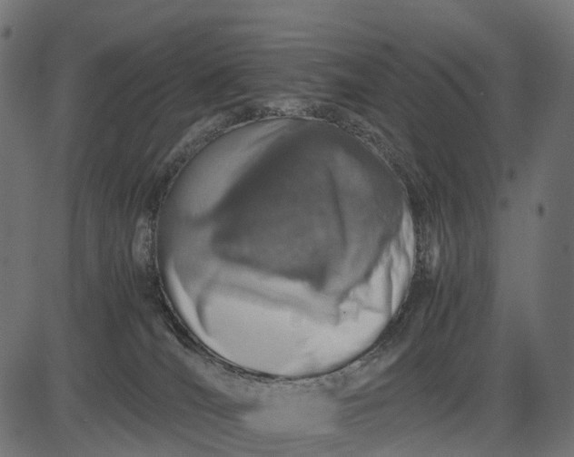 X0000082720036200702091824