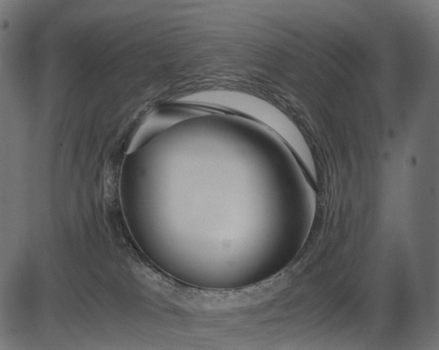 X0000082720037200702091824