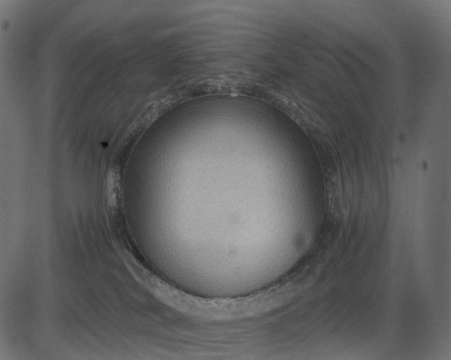 X0000082720038200702091824