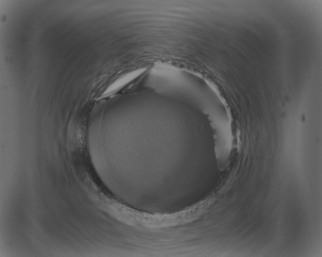 X0000082720039200702091824